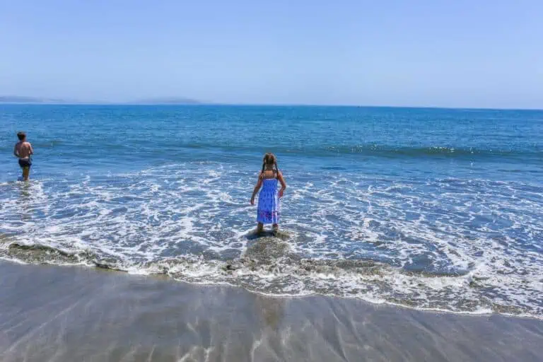 Doran Beach - The Perfect Day Trip to Bodega Bay