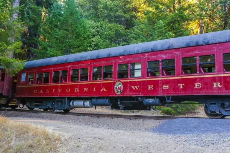 Pumpkin Express Skunk Train in Willits - A Mendocino County Autumn Gem