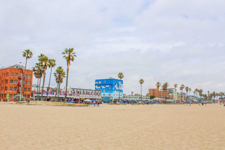 Beachfront buildings and palm trees along the shoreline in Santa Monica, California.