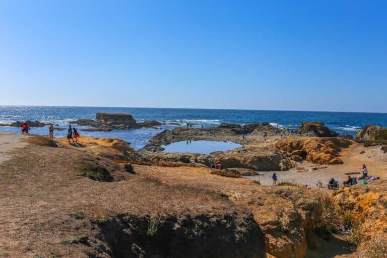 Family-Friendly Travel Guide to Fort Bragg - Noyo Headlands Park