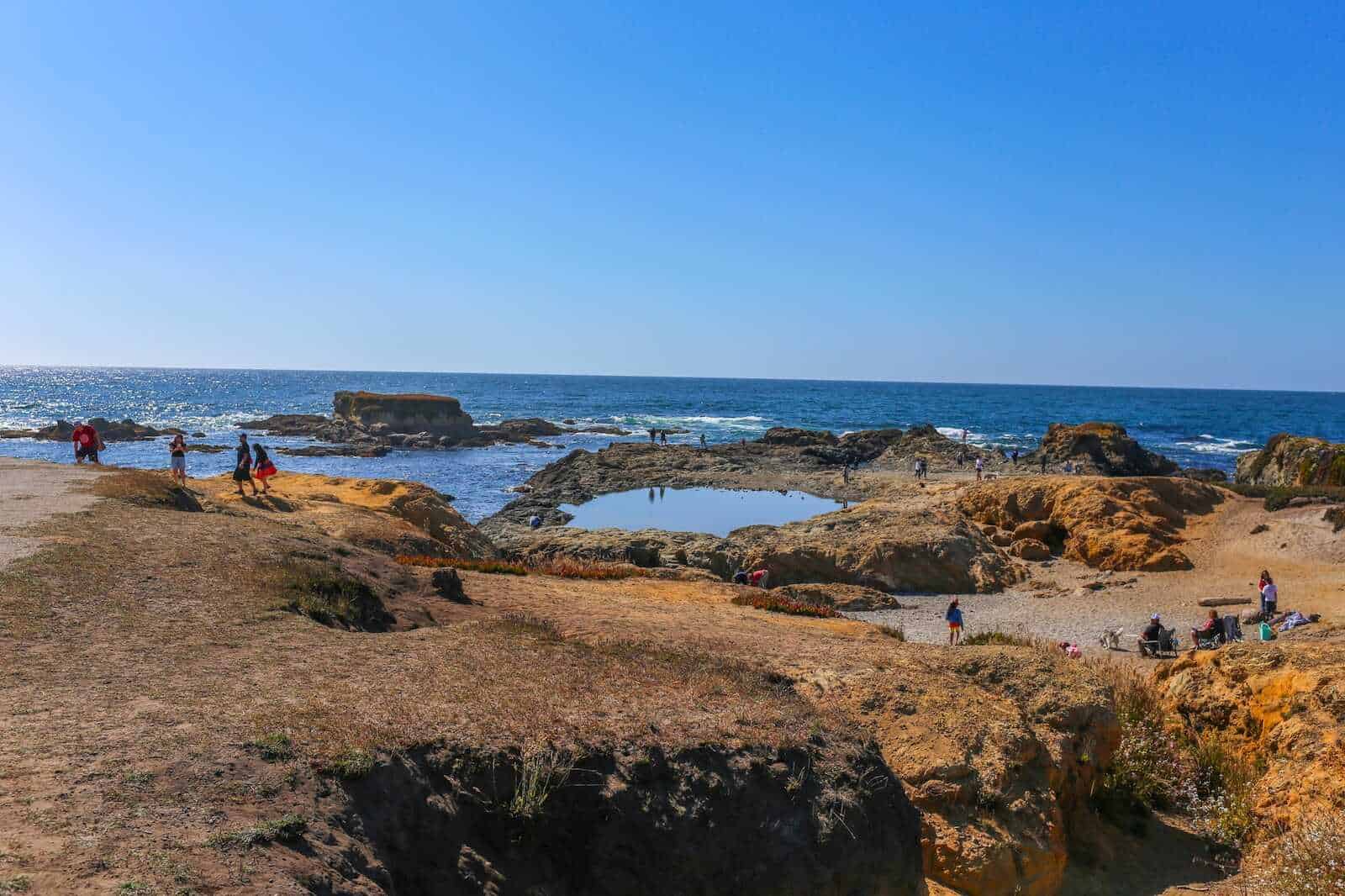 Family-Friendly Travel Guide to Fort Bragg - Noyo Headlands Park