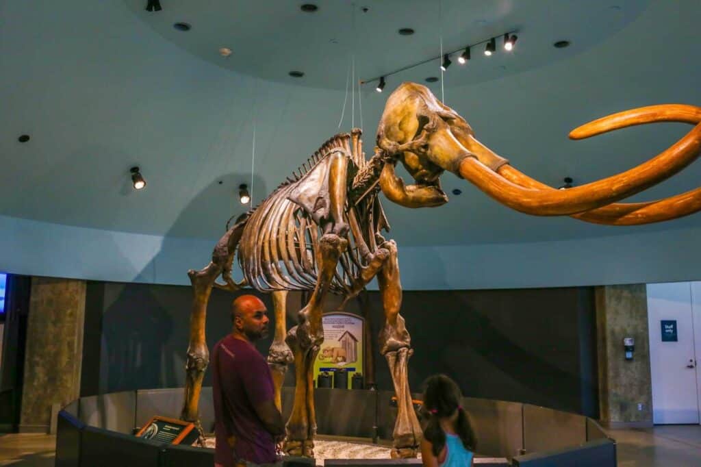 Kid-Friendly Guide to La Brea Tar Pits and Museum in Los Angeles