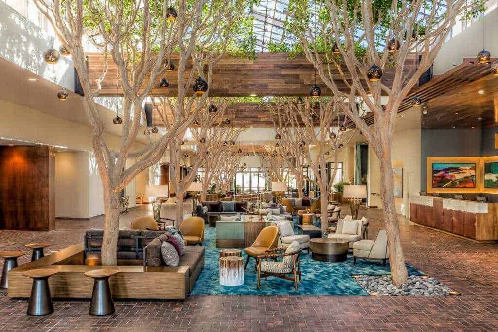 Lush indoor lounge with natural trees and modern decor in California. Perfect for relaxing and exploring California culture.