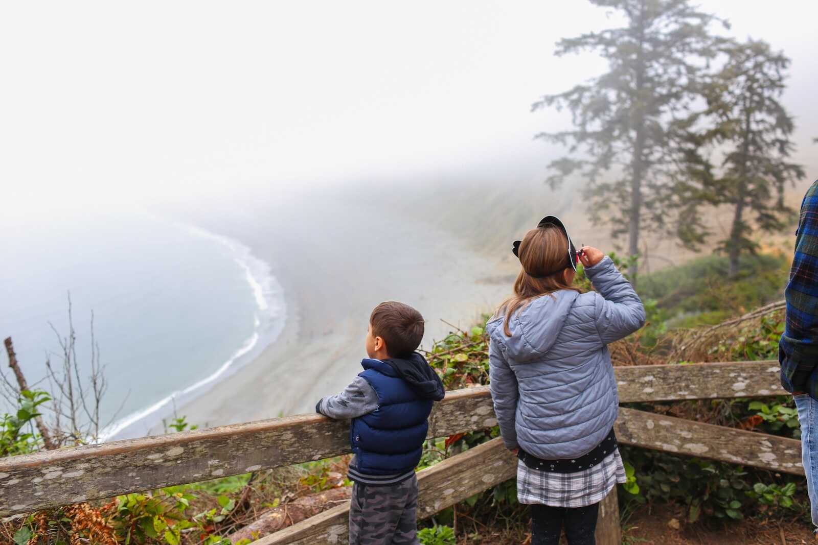 Misty coastal view with children observing from lookout point in California wilderness.