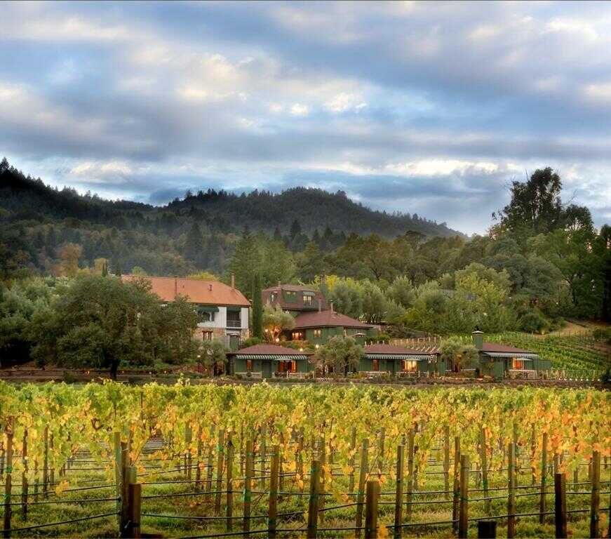 California vineyard landscape with rolling hills and lush greenery near California Nomad.